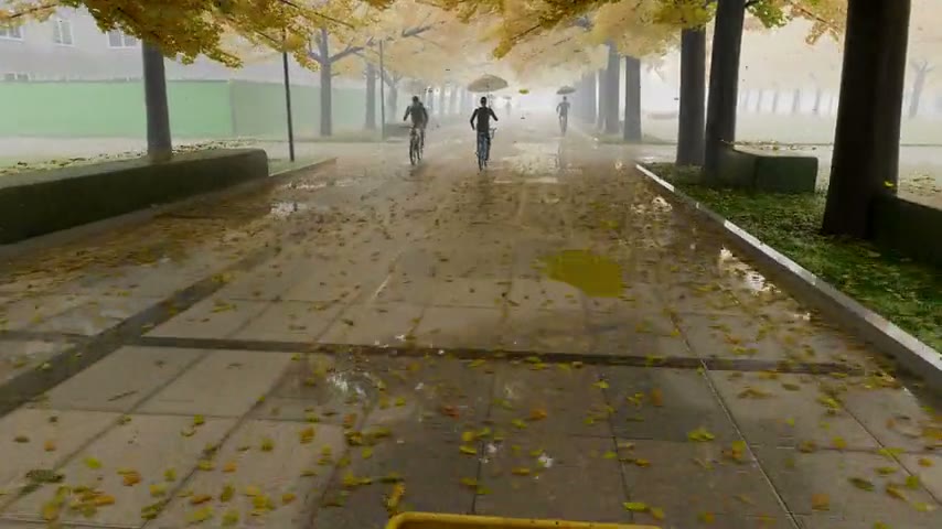 Ginkgo avenue, rain