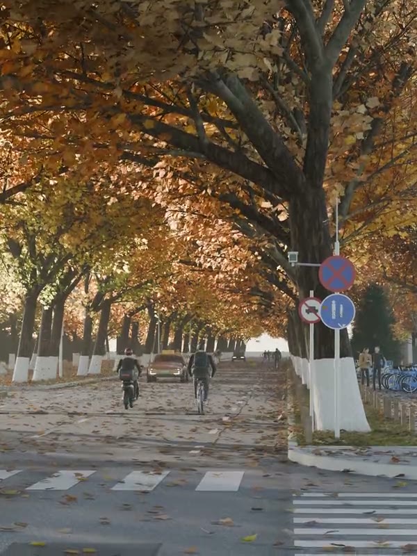新民路, plane trees